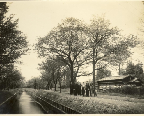1946年頃玉川上水