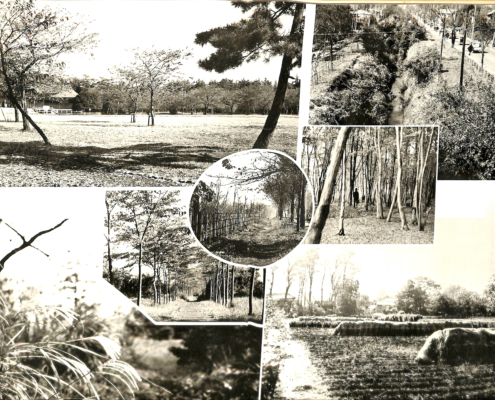 1969年周辺風景