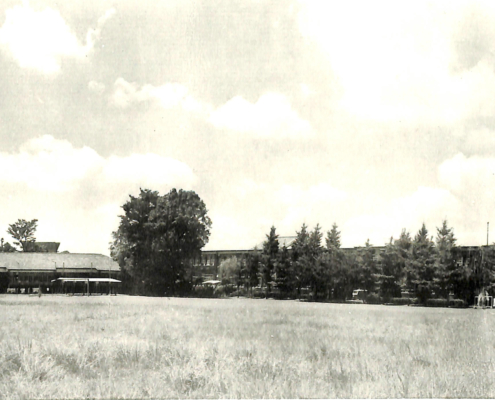 1961年校舎全景
